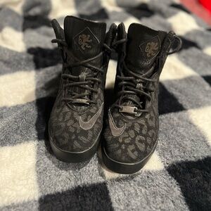 Nike Lebron